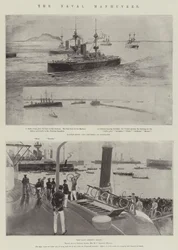 The Naval Manoeuvres